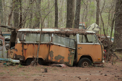 2019SouthernUSA-157FullHD