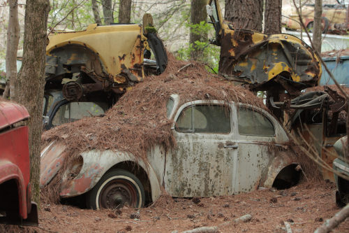 2019SouthernUSA-158FullHD