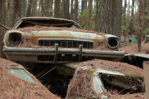 2019SouthernUSA-160FullHD