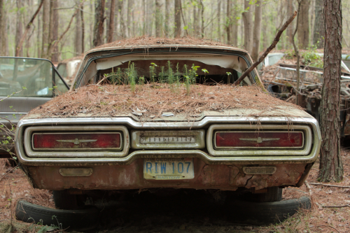 2019SouthernUSA-162FullHD