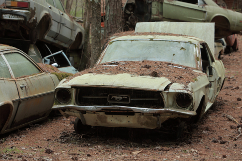 2019SouthernUSA-163FullHD