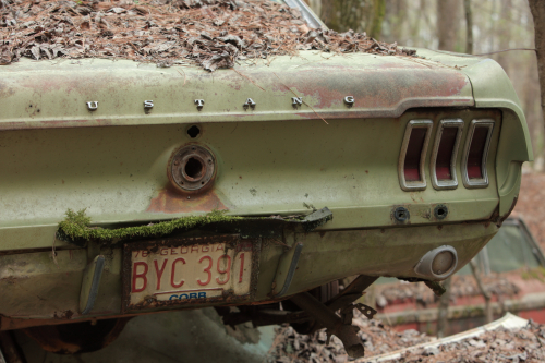 2019SouthernUSA-164FullHD