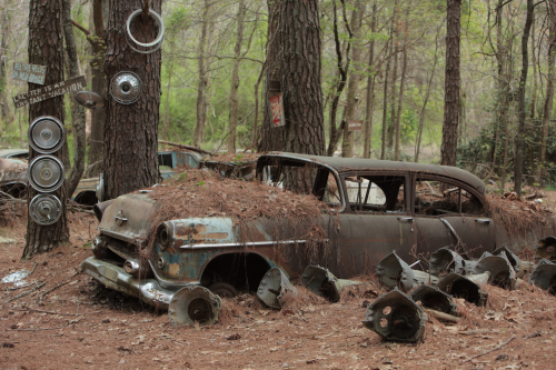 2019SouthernUSA-165FullHD