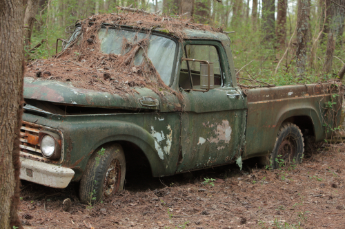 2019SouthernUSA-167FullHD