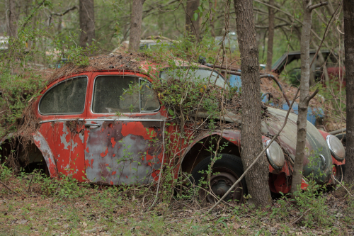 2019SouthernUSA-169FullHD