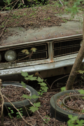 2019SouthernUSA-170FullHD