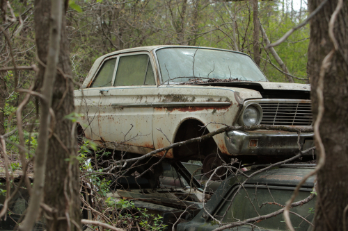 2019SouthernUSA-172FullHD