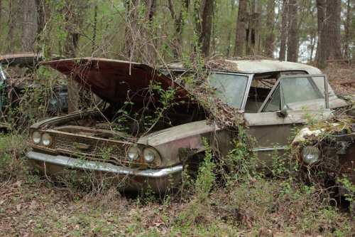 2019SouthernUSA-173FullHD