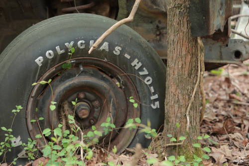 2019SouthernUSA-174FullHD