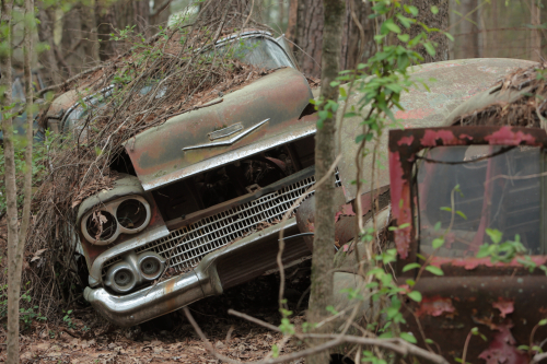 2019SouthernUSA-175FullHD