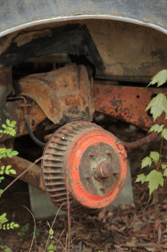 2019SouthernUSA-177FullHD