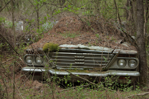 2019SouthernUSA-178FullHD