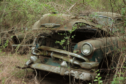 2019SouthernUSA-179FullHD