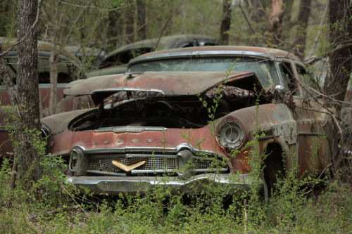 2019SouthernUSA-180FullHD