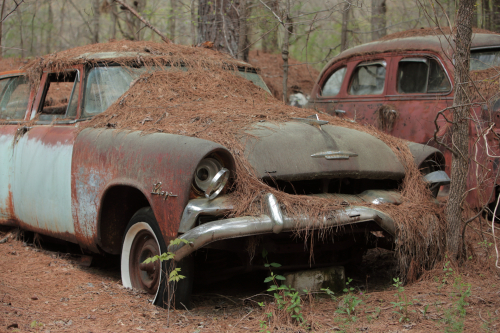 2019SouthernUSA-183FullHD