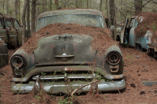 2019SouthernUSA-185FullHD