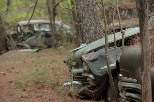 2019SouthernUSA-186FullHD