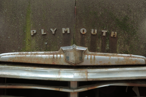 2019SouthernUSA-187FullHD