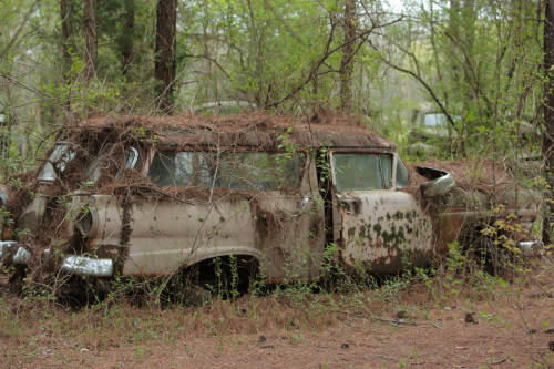 2019SouthernUSA-188FullHD