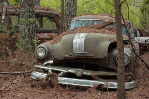 2019SouthernUSA-189FullHD