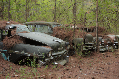 2019SouthernUSA-190FullHD