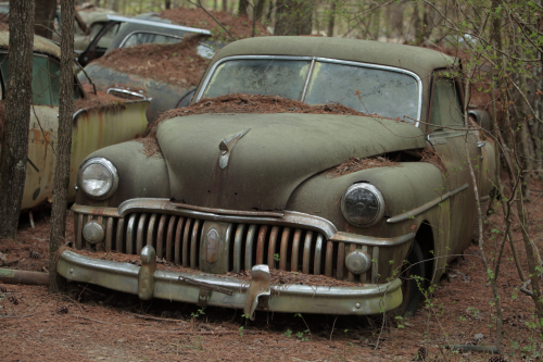 2019SouthernUSA-191FullHD