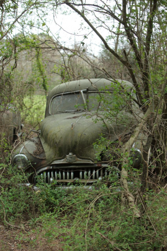 2019SouthernUSA-194FullHD