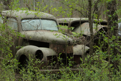 2019SouthernUSA-195FullHD