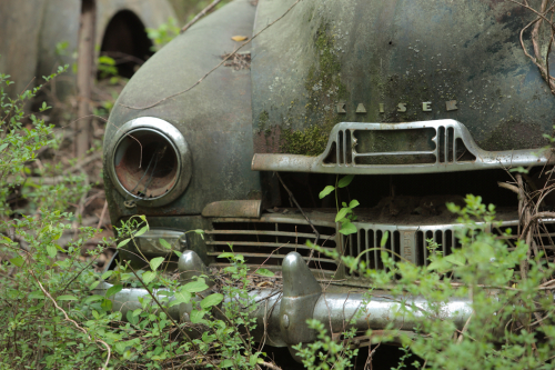 2019SouthernUSA-196FullHD