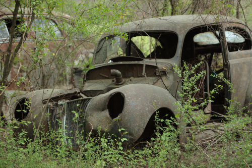 2019SouthernUSA-197FullHD