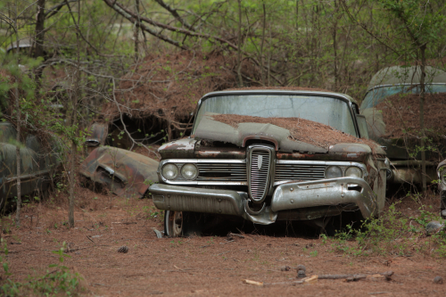 2019SouthernUSA-198FullHD