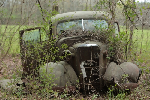 2019SouthernUSA-199FullHD