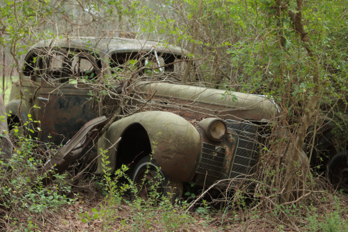 2019SouthernUSA-200FullHD