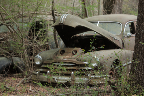 2019SouthernUSA-201FullHD