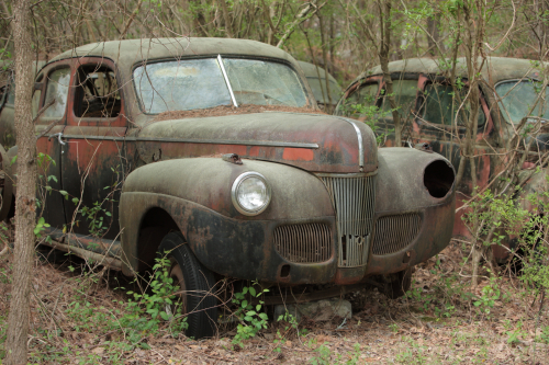 2019SouthernUSA-202FullHD