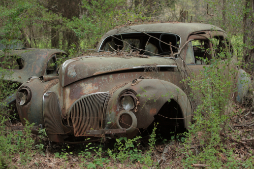 2019SouthernUSA-203FullHD