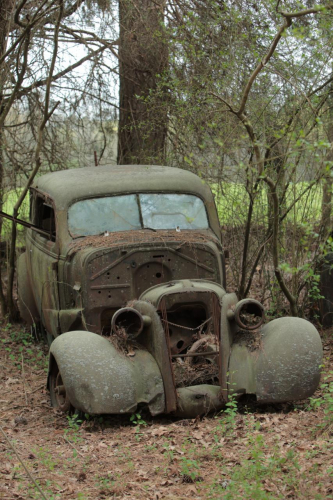 2019SouthernUSA-205FullHD