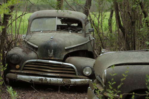 2019SouthernUSA-206FullHD