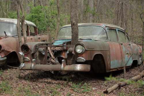 2019SouthernUSA-207FullHD