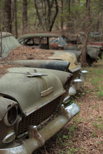 2019SouthernUSA-208FullHD