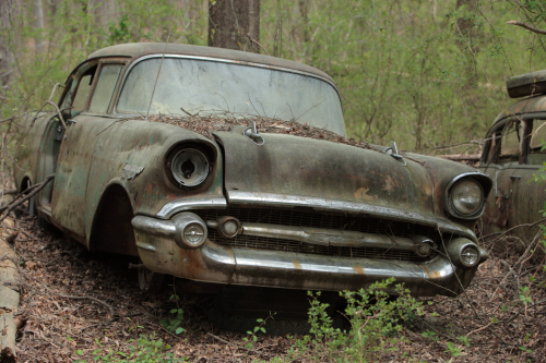 2019SouthernUSA-209FullHD