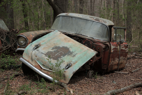 2019SouthernUSA-210FullHD