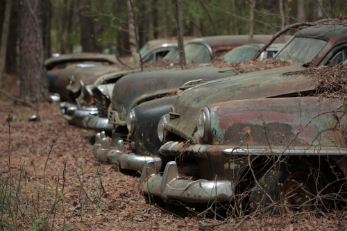 2019SouthernUSA-211FullHD