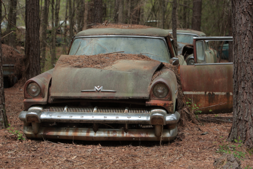 2019SouthernUSA-212FullHD