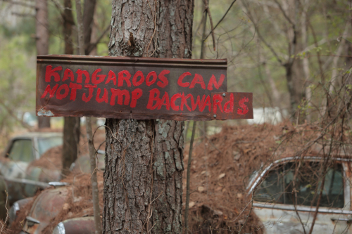 2019SouthernUSA-213FullHD