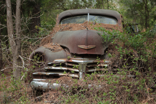 2019SouthernUSA-214FullHD