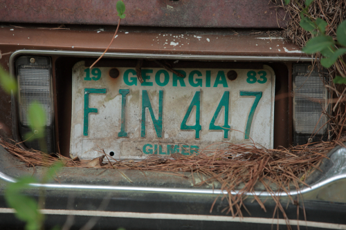 2019SouthernUSA-215FullHD