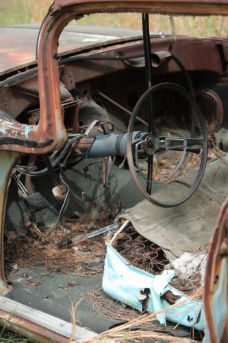 2019SouthernUSA-216FullHD