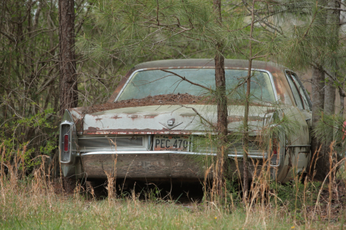 2019SouthernUSA-217FullHD