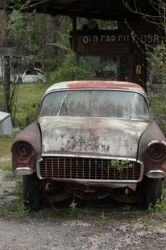 2019SouthernUSA-279FullHD